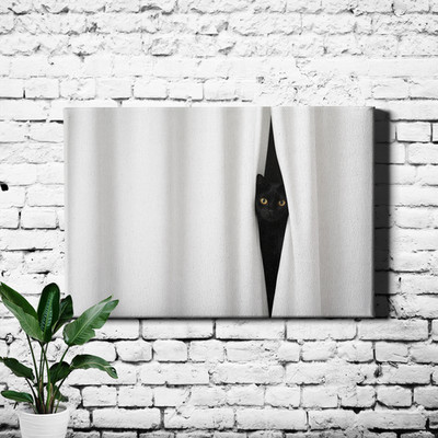 Black cat peeking through curtains Poster Print minimal white drapery