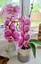 renees.treasures021