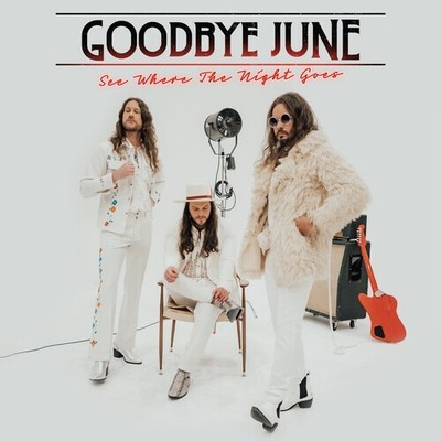 Goodbye June - See Where The Night Goes [Used Very Good CD]