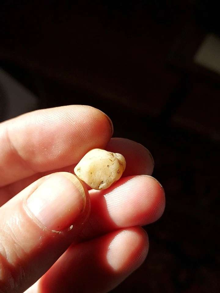 Ancient Natural Clam Pearl - Image 4 of 4