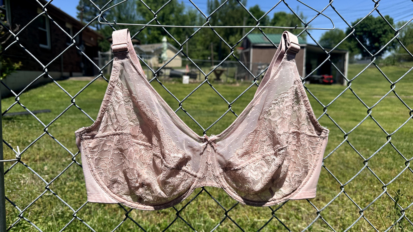HSIA Lace Minimizer Bra Unlined Unpadded Underwire Sheer Lace 40G L Pink