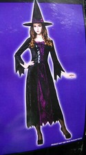 Purple/Blue Spider Witch Costume