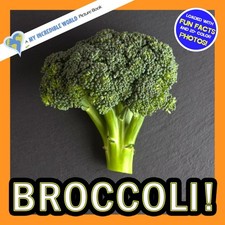 Broccoli!: A My Incredible World Picture Book for Children (My Incredible World: