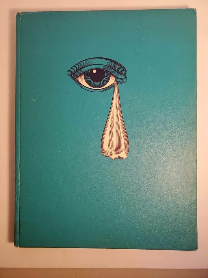 The Beatles Illustrated Lyrics Book Alan Aldridge 1st American