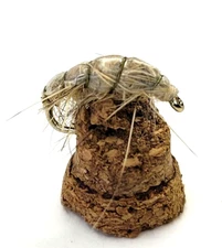 SCUD NYMPH - #14 & #16 - TAN - (6 Flies) - Trout Flies - Fly Fishing Flies - NEW