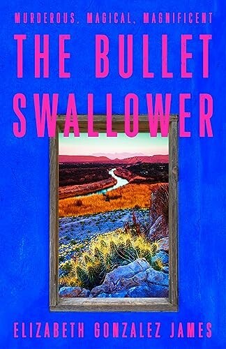 The Bullet Swallower - Elizabeth James - Hardcover, 2024