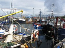 Photo 6x4 Fishing boats in Mallaig harbour  c2012