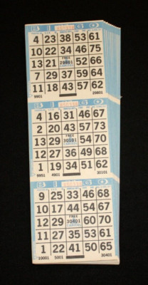 BINGO PAPER Cards sheets 3 on 11 Blue Border - 10 pack