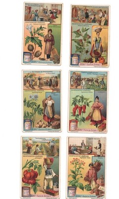 (Set of 6) 1909 Liebig Fleisch Extract   Nachtschatten-Gewäch #A819/S976
