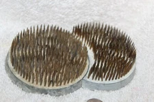 2 piece double circle  Spiked Vintage Metal Floral Plant Frog