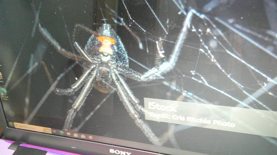 Sony Vaio LATRODECTUS vpcf131fm,i7 2.67-3.33ghz,500gb,8gb,16.4"blu-ray Foto 4 de 4