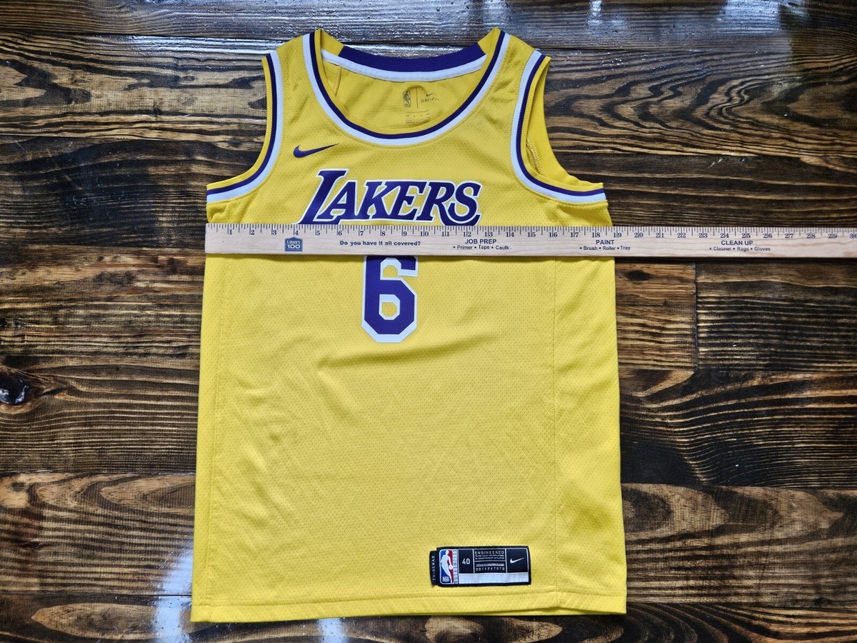 Nike Los Angeles Lakers Lebron James NBA Swingman Icon Edition