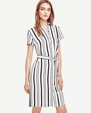 Ann Taylor - Size 4 Cloud White Double Stripe Shirtdress $129.00 (80)