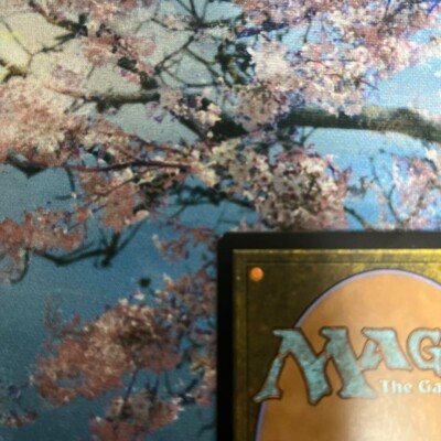 否定の契約/Pact of Negation 未来予知枠　foil 英語 否定の契約/Pact of Negation 未来予知枠foil 英語