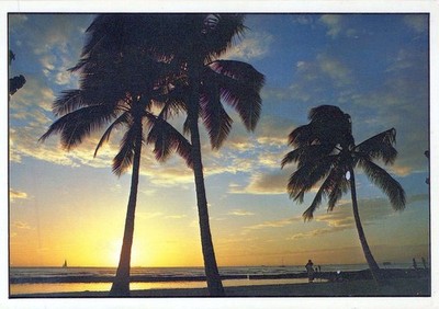España Islas Canarias Puesta de Sol Tropical Palmeras #PBD496