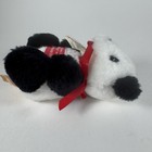 Bild 6 von 12