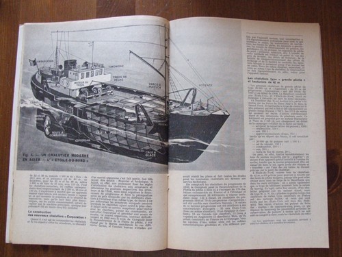 SCIENCE ET VIE N°372 SEPT 1948 SOMMAIRE ABEILLES 23 REINES DANS UNE RUCHE - Picture 4 of 5