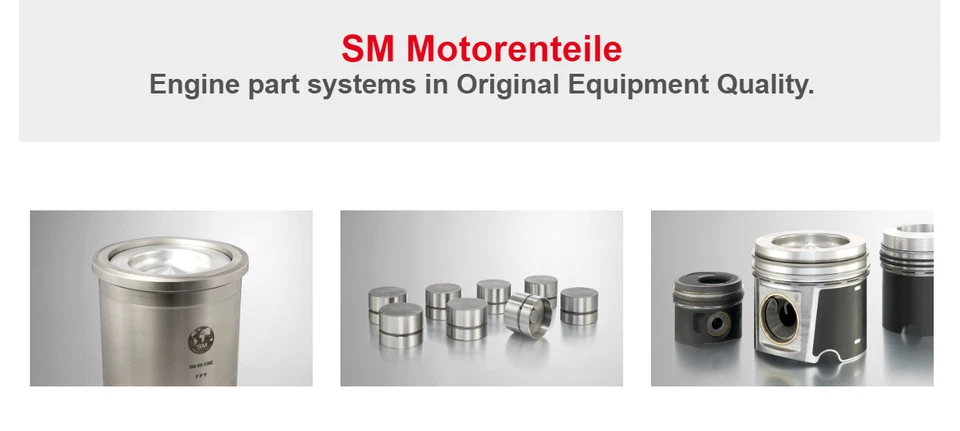 Juego de anillos de pistón SM para Mercedes-Benz Clase S 280SE 300SEL M130 STD X2 Foto 2 de 2