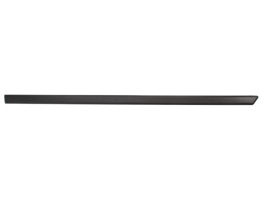 Right Front BLIC 5703-04-2564576P Trim/Protection Strip, wing for FORD