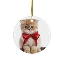 Exotic Shorthair Kitten - Ceramic Christmas Ornament - Printed in USA