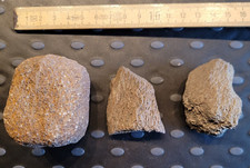 Fragmente von Walknochen (?), Tertiär Miozän, Groß Pampau