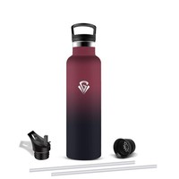 Edelstahl Trinkflasche 750Ml, Auslaufsicher, Bpa-Frei, Isoliert, Mujigaga