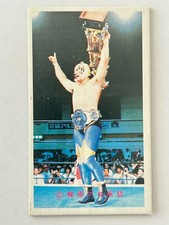 Tiger Mask Vintage Japanese Menko 41240 Pro Wrestling Traditional Card 006