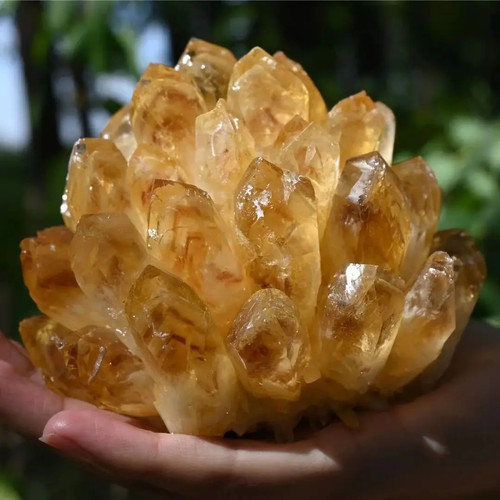 Natural Raw Citrine Quartz Crystal Cluster 650g Yellow Healing Mineral Specimen