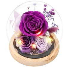 Casaido Preserved Roses Flowers for Delivery, Purple Forever Flores in