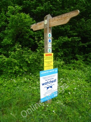 Photo 6x4 You are being watched Totford I wonder whether someone will sta c2011