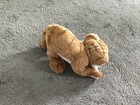 Picture 3 of 8