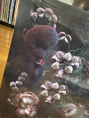 米2LP Bjork Fossora TPLP1485X One Little Independe /00520 Bjork - Fossora 2xLP 2022 One Little Independent tplp1485 Mint