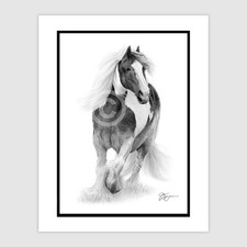 Gypsy Cob - original signed pencil drawing, Horse artwork - A4 size