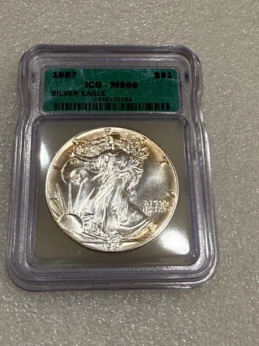 1987 Silver Eagle ICG MS 69 ~ GOLDEN BEAUTY ~ TONED
