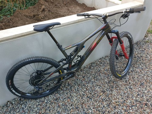 2020 Specialized stumpjumper Evo carbon 