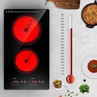 Electric Radiant Cooktop 2 Burners Ceramic Cooktop Electric Stove Top 110V 2000W