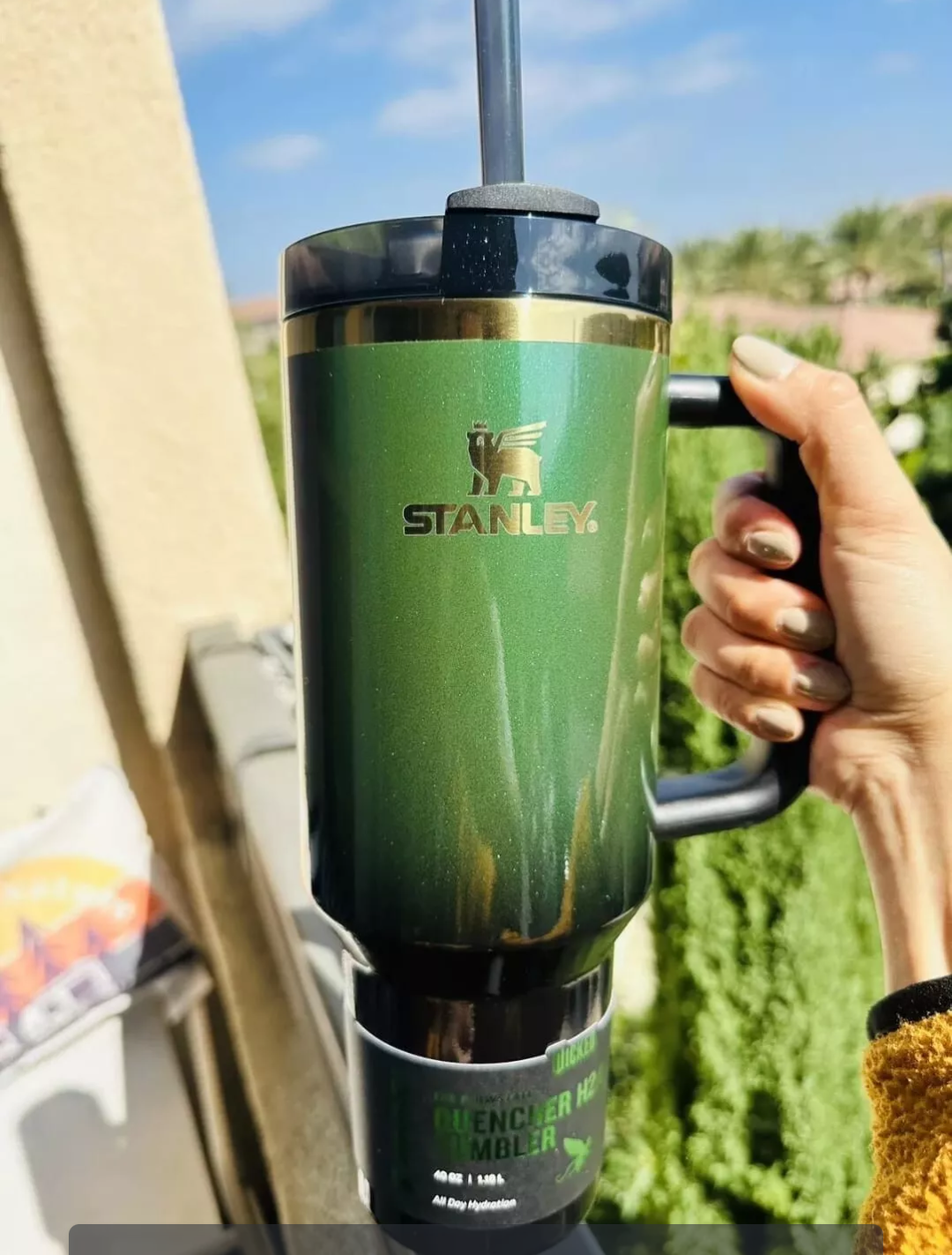 Stanley X Wicked 40oz Tumbler Exclusive Elphaba with Free Priority Shipping