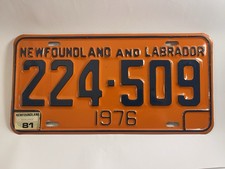 Oryginalna tablica rejestracyjna Nowej Fundlandii 1976 / 81 – Kanada – pomarańczowa – rzadka (Z149)