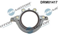 Dr.Motor Automotive DRM01417 Wellendichtring, Kurbelwelle FüR Ford