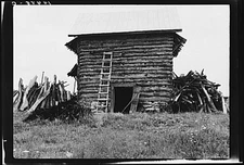 Caswell County,North Carolina,NC,Farm Security Administration,July 1939,FSA,1