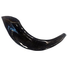 Traditional Shofar from Israel, Jewish Natural Musical Instrument, ... Fast Ship
