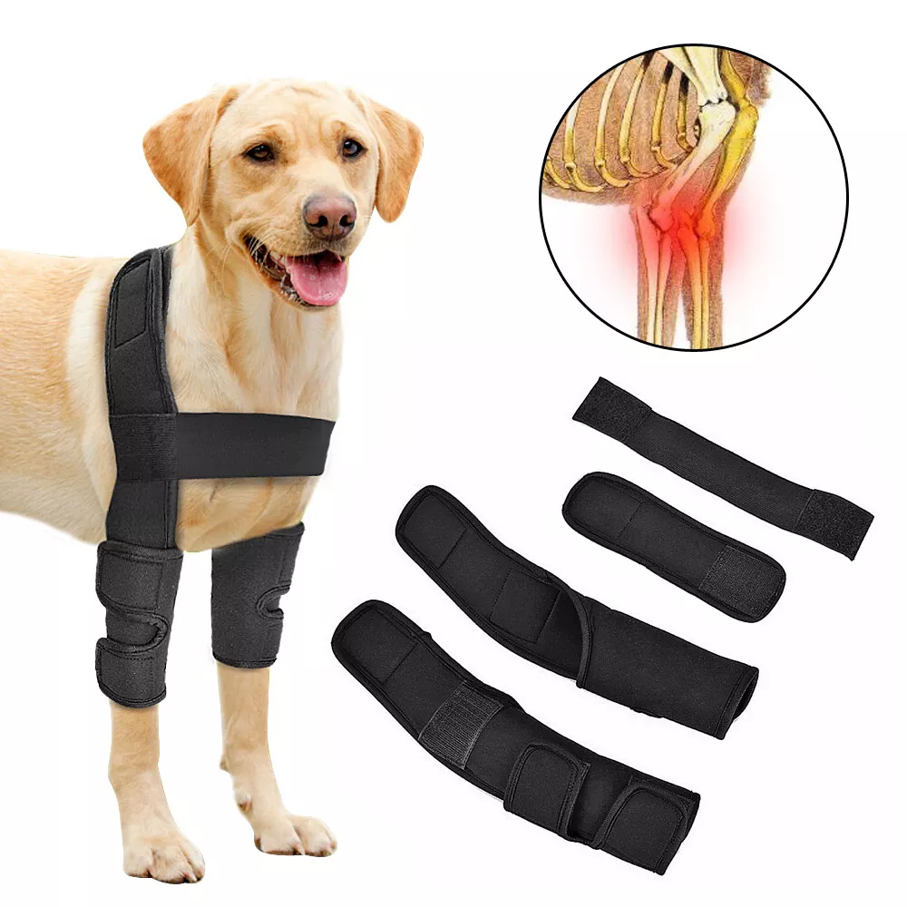 Dog leg brace best sale front