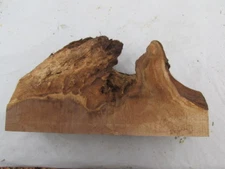 12"x6 1/2"x4" Black Walnut DIY Wood Craft Sculpture Art inShd