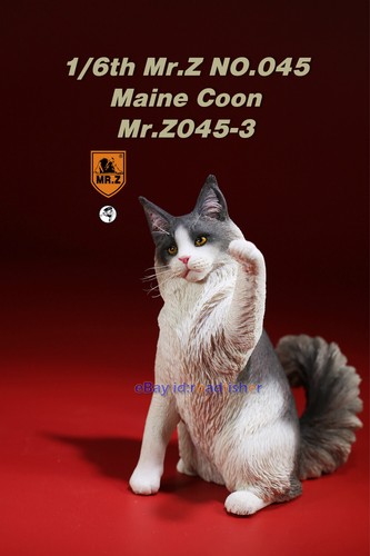 Mr.Z 1/6 Maine Coon Gato Mascota Figura Gatito Felidae Animal Modelo Juguete Decoración Pintado - Imagen 17 de 29
