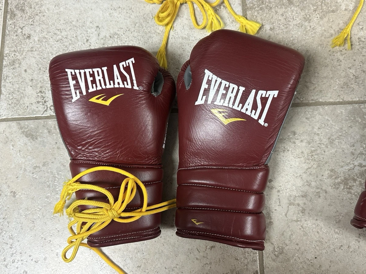 25+ Everlast Boxing Gloves for sale | Updated Oct 2026
