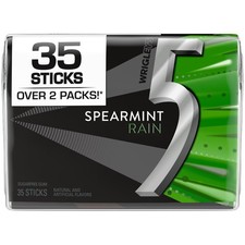 Gum Spearmint Rain Sugar Free Chewing Gum - 3 Stick Pack