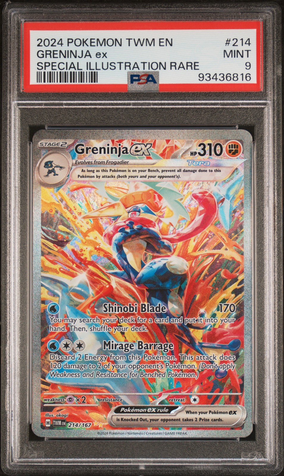 Greninja ex #214