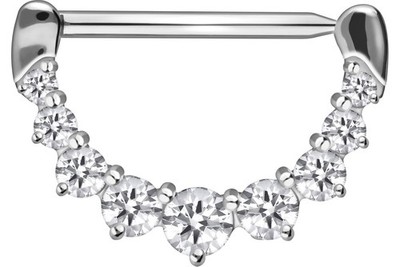 PIERCINGLINE 14G Surgical steel nipple piercing with 9 Crystals | single nipp...