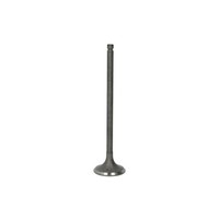 AuslaßVentil Freccia R6541/RNT
