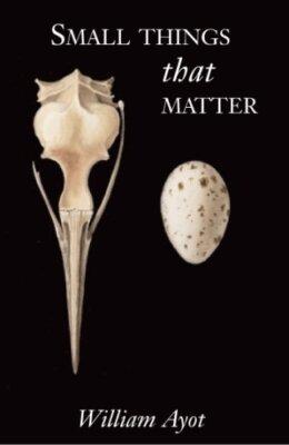 Small Things That Matter By William Ayot